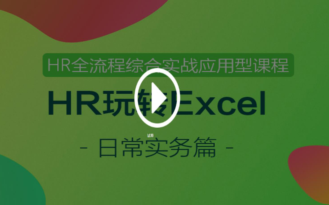 王洋【HR玩转Excel -日常实务篇】（3.9G完结）百度云网盘下载